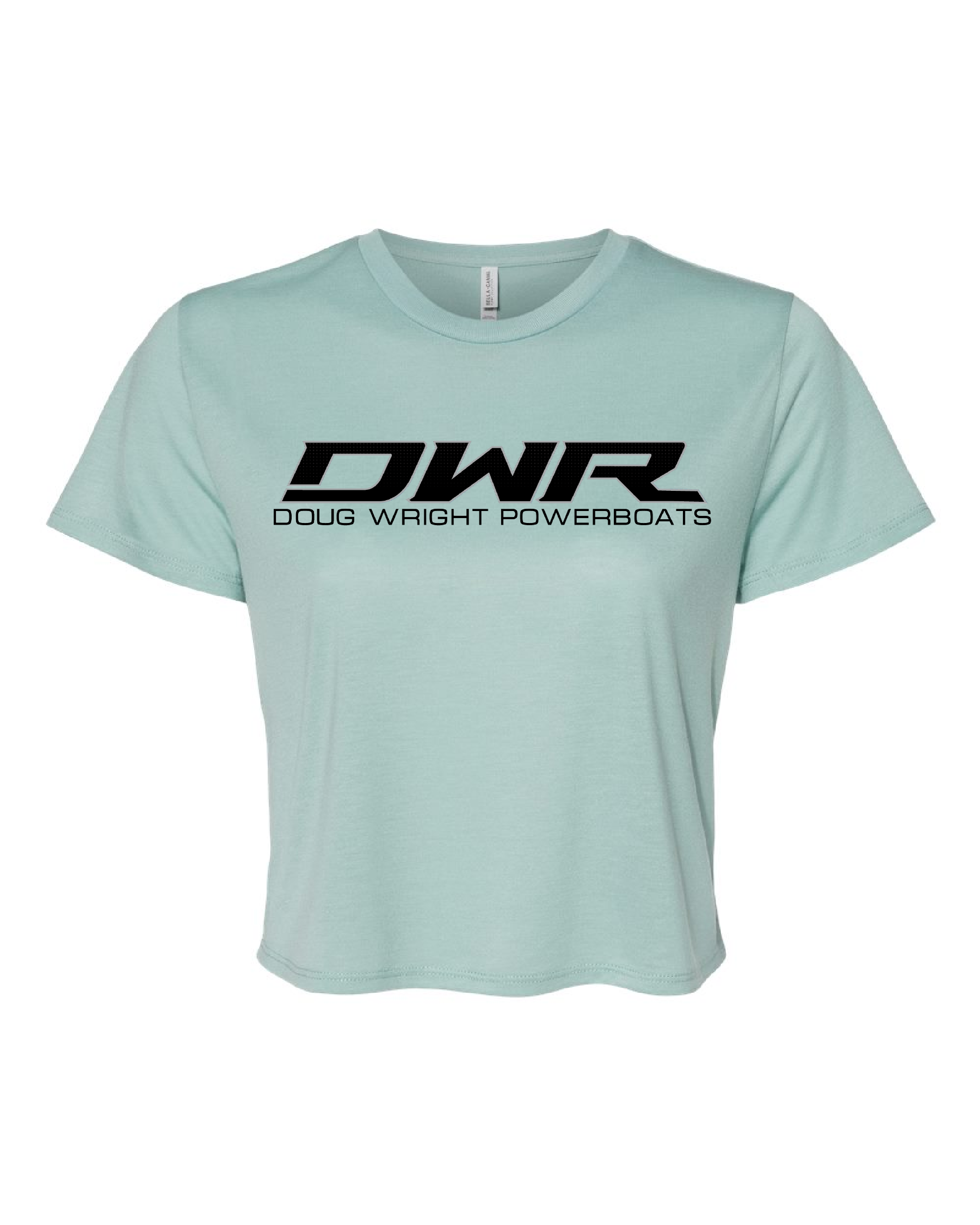 DWR Women's Dusty Blue Cropped T-Shirt